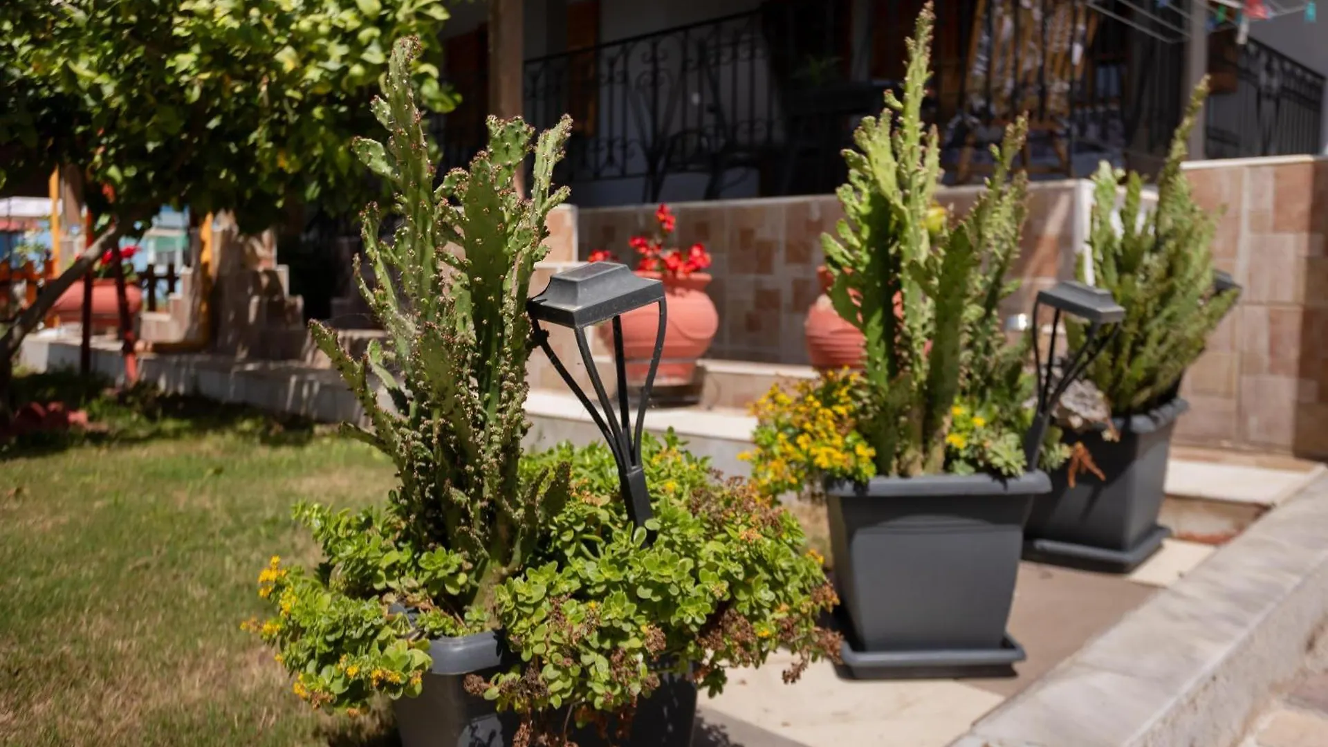 Apartmán Vaioshouse Sozopoli